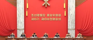 Nordkoreas satellitmiss kritiseras