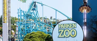 Parken Zoo håller öppet som vanligt efter dödsolyckan