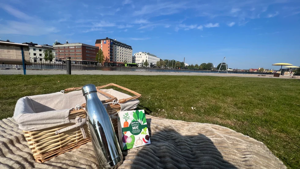 Åutsikten är ett plus i kanten vid vår picknick i Stadsparken.