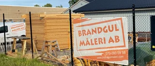 Brandgul Måleri AB har ökat personalstyrkan rejält
