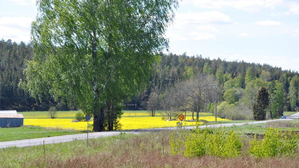 Dra iväg på en riktig roadtrip och upptäck nåt nytt och spännande.