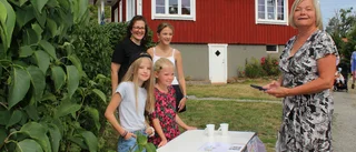 Skärgårdsdag lockade tusentals till Händelöp