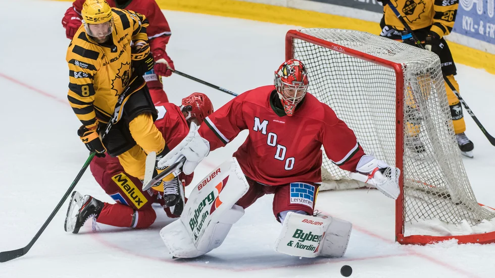 Skellefteå AIK och Modo ställs mot varandra under försäsongen.