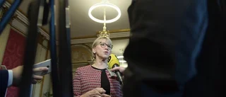 Gunnar Hökmark: Wallström går vilse i utrikespolitiken