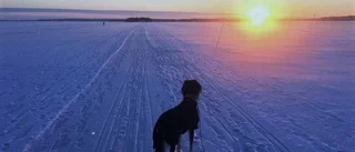 Läsarbild: Isvägen