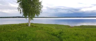 Läsarbilden