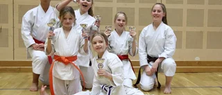 11 DM-medaljer till Bodens Karateklubb