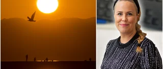 Ida Eklöf drar till Lesbos – carpar INTE diem