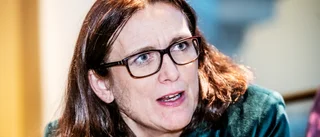 Johan Pehrson borde be Cecilia Malmström flyga och fara