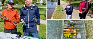 Delade ut 40 gratis fiskespön till barn och unga