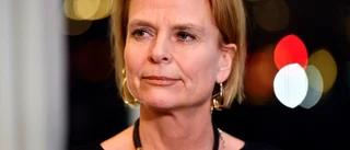 Mycket har gjorts, ännu mer behöver göras