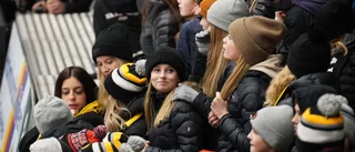 Vimmel: Vem var på matchen mellan AIK och Djurgården? • Se bilderna från arenan här
