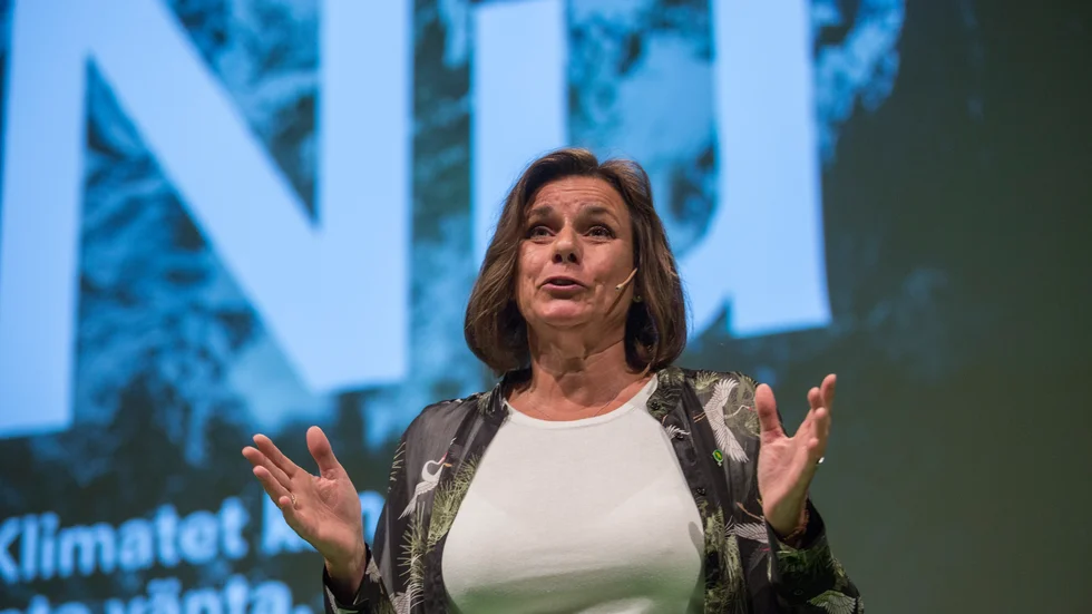  Bakom krisrubrikerna har de gröna i regeringsställning klarat av att leverera resultat inom miljö- och klimatpolitiken.