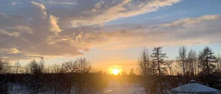 Läsarbilden: Solnedgång över Badhusparken