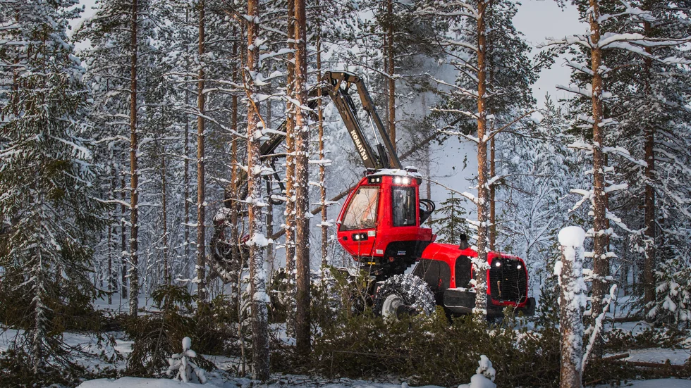 "För att klara denna gröna omställning behöver vi bruka skogen mer än vad vi gör i dag." 