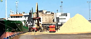 Larm om utsläpp i hamnen