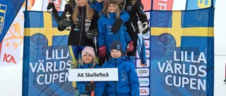 Alpina framgångar i Lilla världscupen