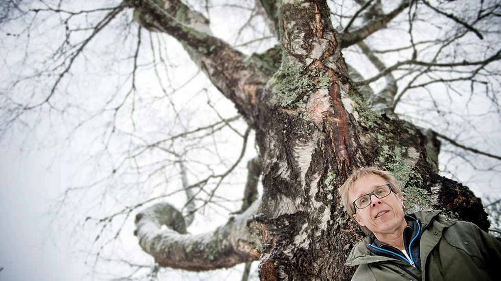 Omställning. ”Vi måste radikalt minska vår förbränning av fossilt bränsle”, säger Björn Forsberg. Foto: Lars Eriksson.