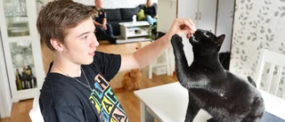 ”Vi såg en svart panter som hette Kipp”