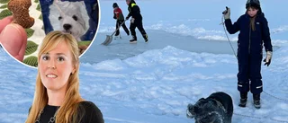 Tiden i karantän – en överdos av familjetid och ett ofrivilligt smakprov av hundgodis
