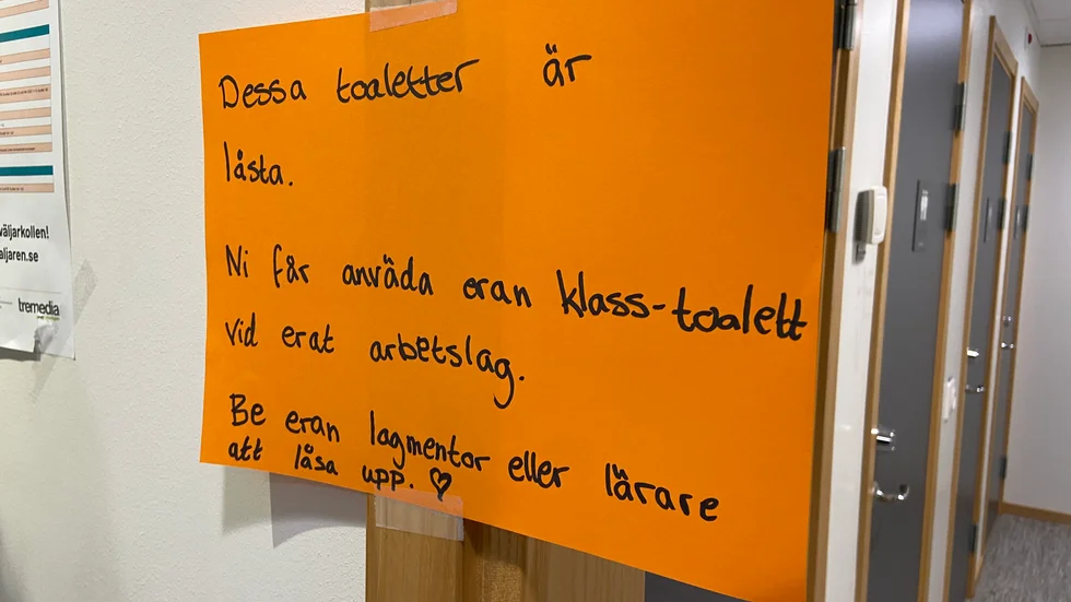 Det är fullt rimligt att skolan svarar med att låsa toaletterna och stärka kontrollen över vilka som rör sig där.  