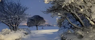 Läsarbilden: Fluffig nysnö i skymningen