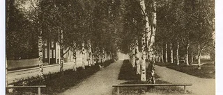 Skellefteå C - okänt årtal