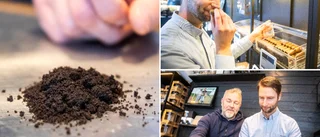 Lyxsnuset för tusen kronor dosan produceras i Stenkumla • "Det blir ytterst premium"
