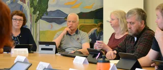 Ekonomiskt stålbad att vänta 