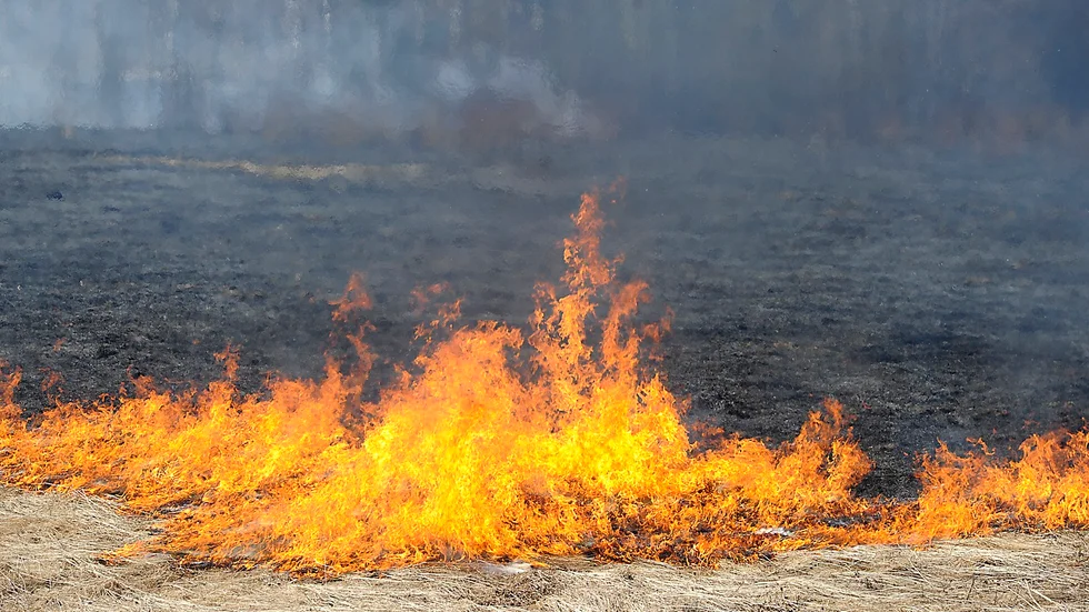 I Västerbotten och Norrbottens kustland bedöms risken som stor.