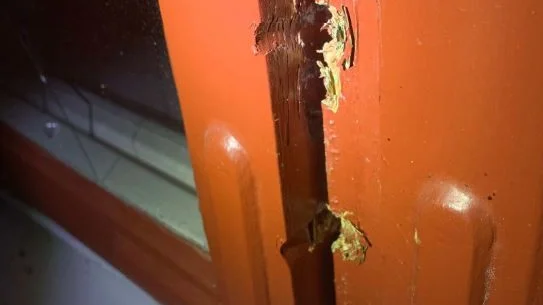 Inbrottstjuven tog sig in i bostaden genom att bryta upp ett fönster. 