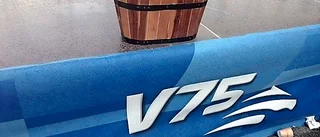 Storfavorit struken på V75