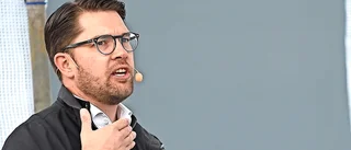 Nu är det fritt fram, Jimmie Åkesson