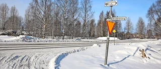 Stort intresse att satsa på Anderstorp