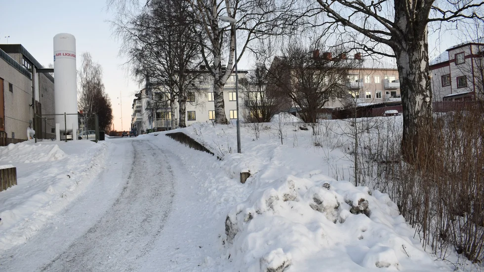 Fastigheten som Skebo köpt är parkmarken till höger. På vänster sida finns gaveln på vattenverket. Foto: Yvonne Rönngren.