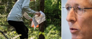 Stortävlingen stoppas av Fortifikationsverket – havsörn i området • ”Märklig kovändning”