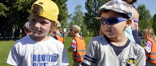 TV: Paul och Kenneth gillar apor