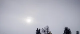 NU är det dags att agera för landsbygdens villkor!