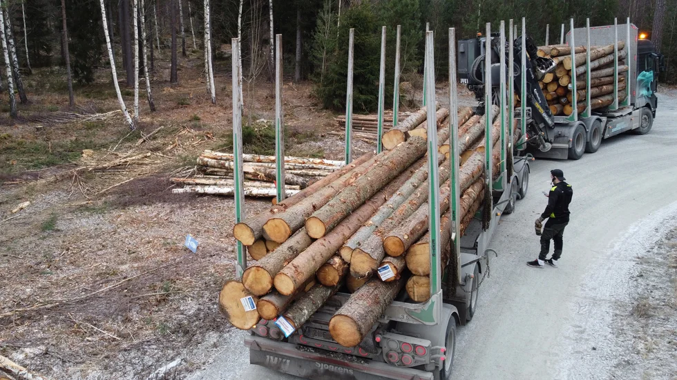 Norr- och Västerbotten har en lång tradition knuten till skogen. Genom den bidrar vi till hela landets utveckling, skriver bland andra riksdagsledamoten Isak From (S).