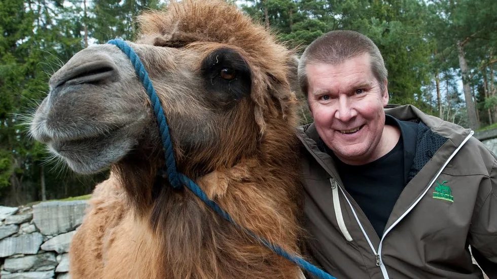 Vill vara världsbäst. - Vi vill vara världsbäst på djurhållning och därför gör vi rockader inom personlen, som en stimulans, säger Mats Olsson, vd på Kolmårdens djurpark, tillsammans med kamelen Sylvia.