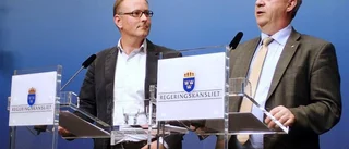 Staten fixar inte allt