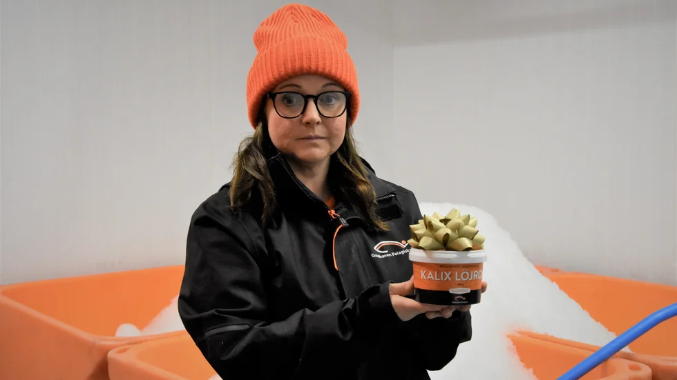 Enligt Sofia Åström gick det snabbare än förväntat att få fram årets första burk av Kalix löjrom på Guldhaven Pelagiska.