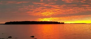 Underbar morgon i Jävre