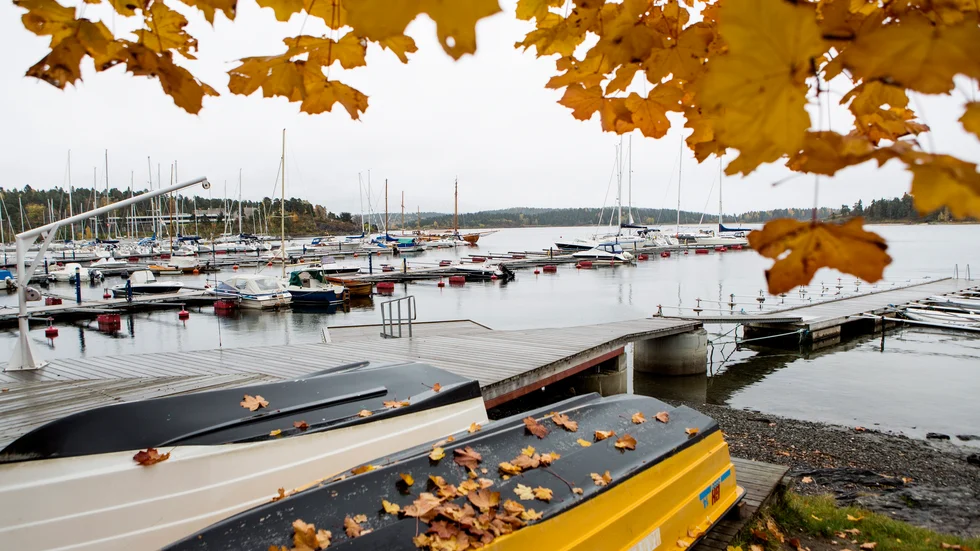 Motorer till minst fyra båtar har stulits från båtklubben. Det är inte otänkbart att fler kan ha drabbats av stölder.