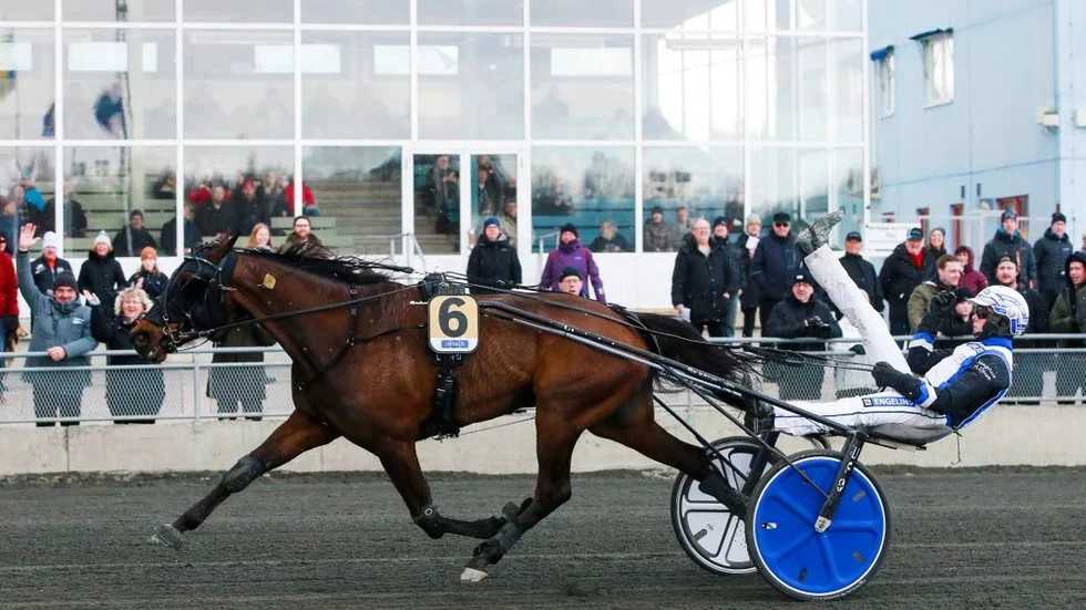 PT-sportens travexpert Bosse Lundkvist spikar Magnus A Djuse, här med Mr Golden Quick, och Don draper i V64-avslutningen.