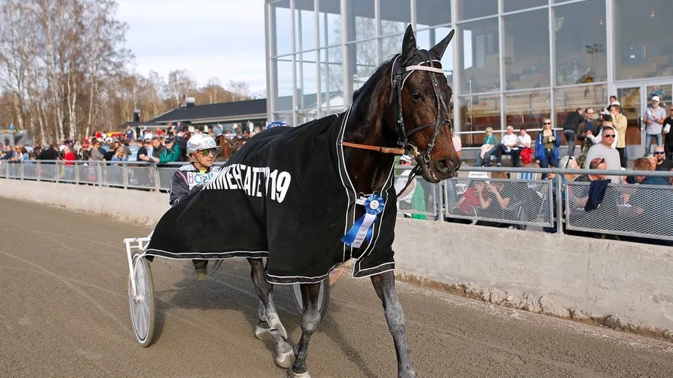 Makethemark tävlar i Norge.