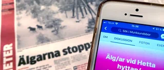 Onödig hets kring älgarna