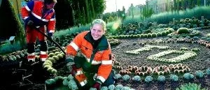 Kaktusgruppen plockas in