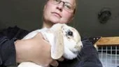 Här bröt sig tjuvarna in. Det kom undan med arbetsredskap till ett värde av cirka 50 000 kronor.
Foto: Janne Forsby (011-200 464)
janne.forsby@folkbladet.se