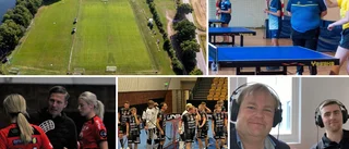 Bonus: Om pingis, Fjäderns nummer, nye Janne Wärn och senaste om Borens IP